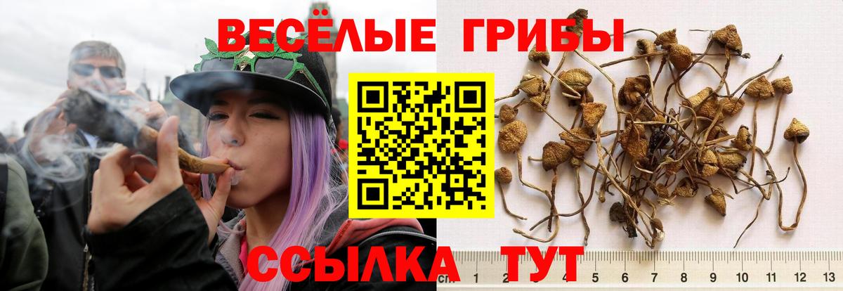Галлюциногенные грибы Magic Shrooms  Вход с VPN  Новоуральск 